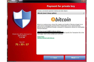 bitcoin ransomware message