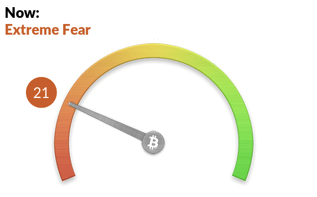 fear and greed index showing extreme fear
