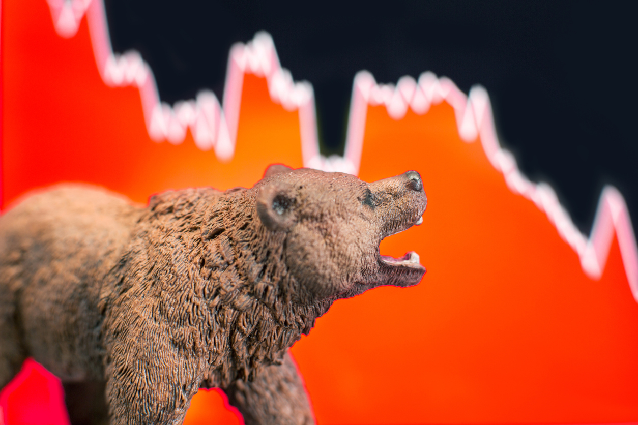 Bears in crypto nomani bitcoins
