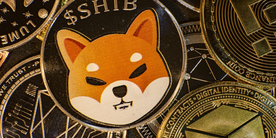 Physical Shiba Inu (SHIB) token on other cryptocurrencies
