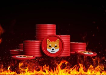 shiba in fire