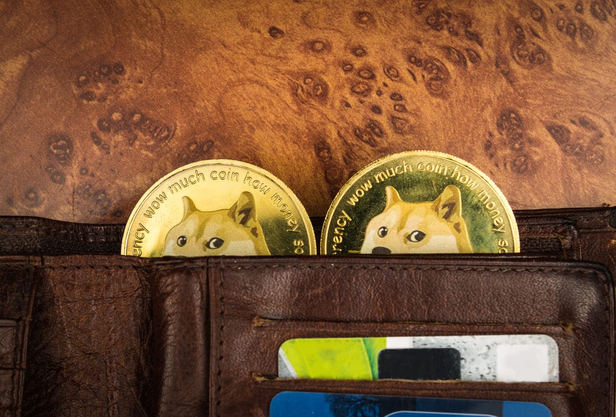 Dogecoin in wallet