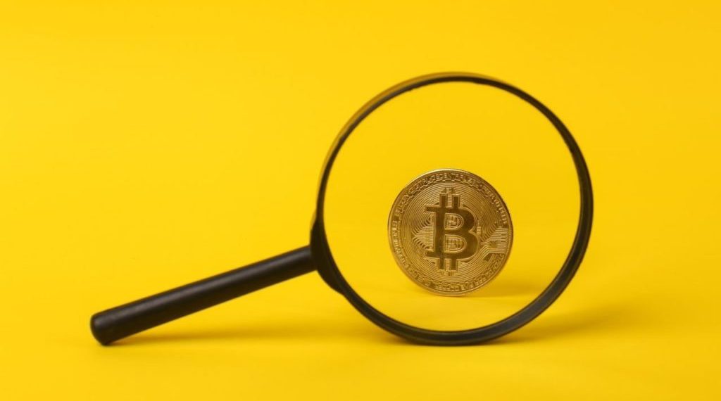 'Bitcoin' Google Search Peaks Amid Heightened Volatility