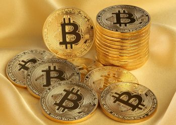Who Owns The Most Bitcoins?